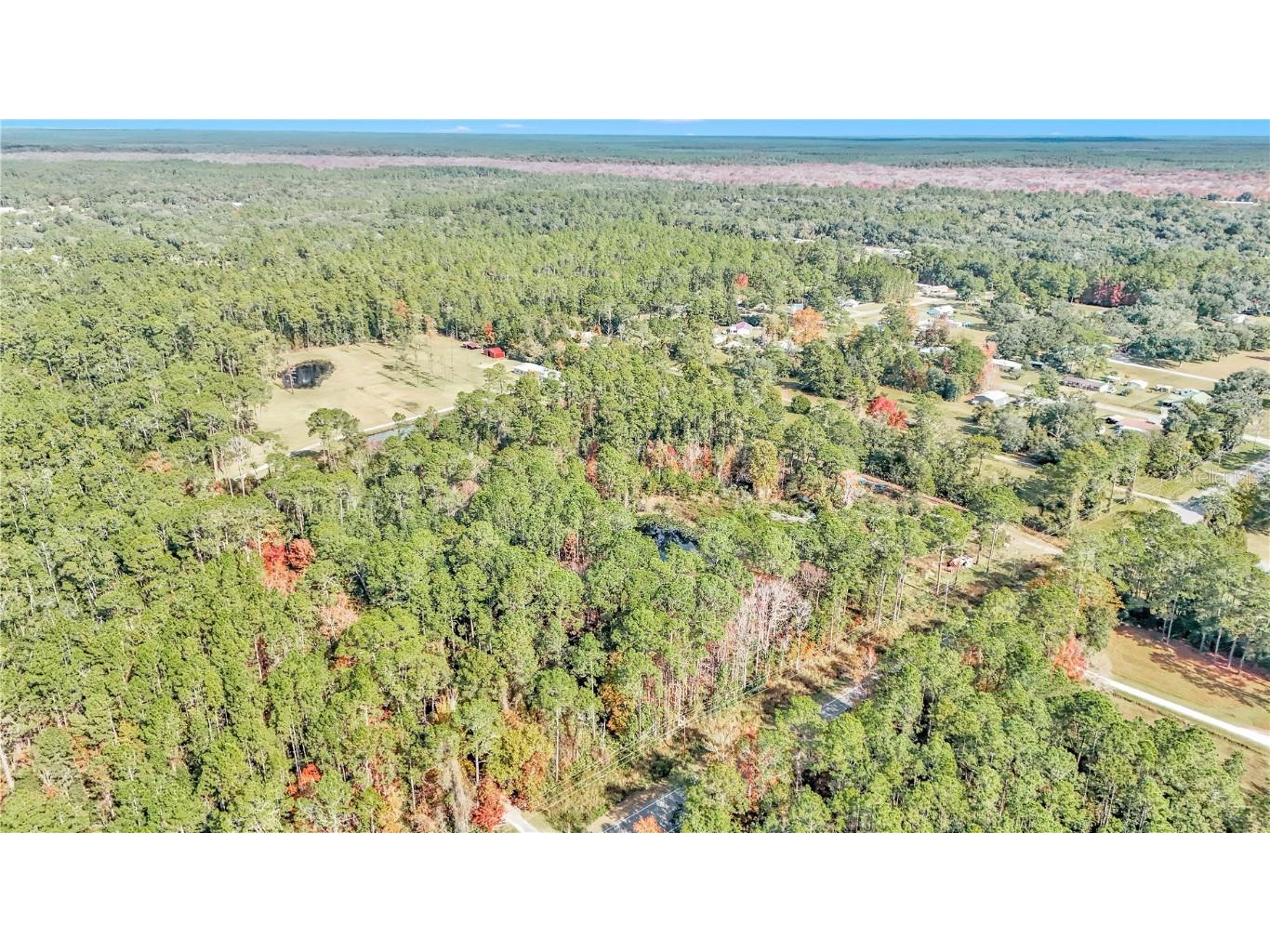 14497 E Highway 316 Fort Mc Coy FL 32134 O6262385 image3