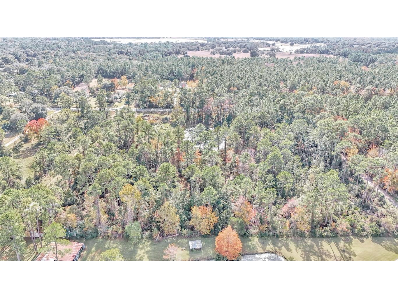 14497 E Highway 316 Fort Mc Coy FL 32134 O6262385 image7