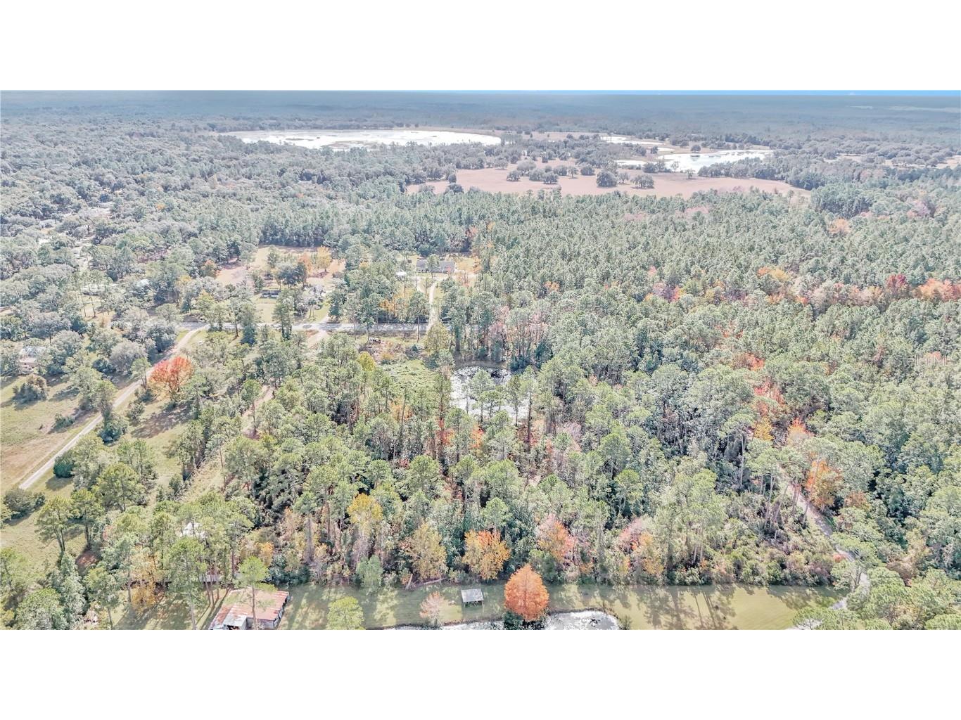 14497 E Highway 316 Fort Mc Coy FL 32134 O6262385 image8