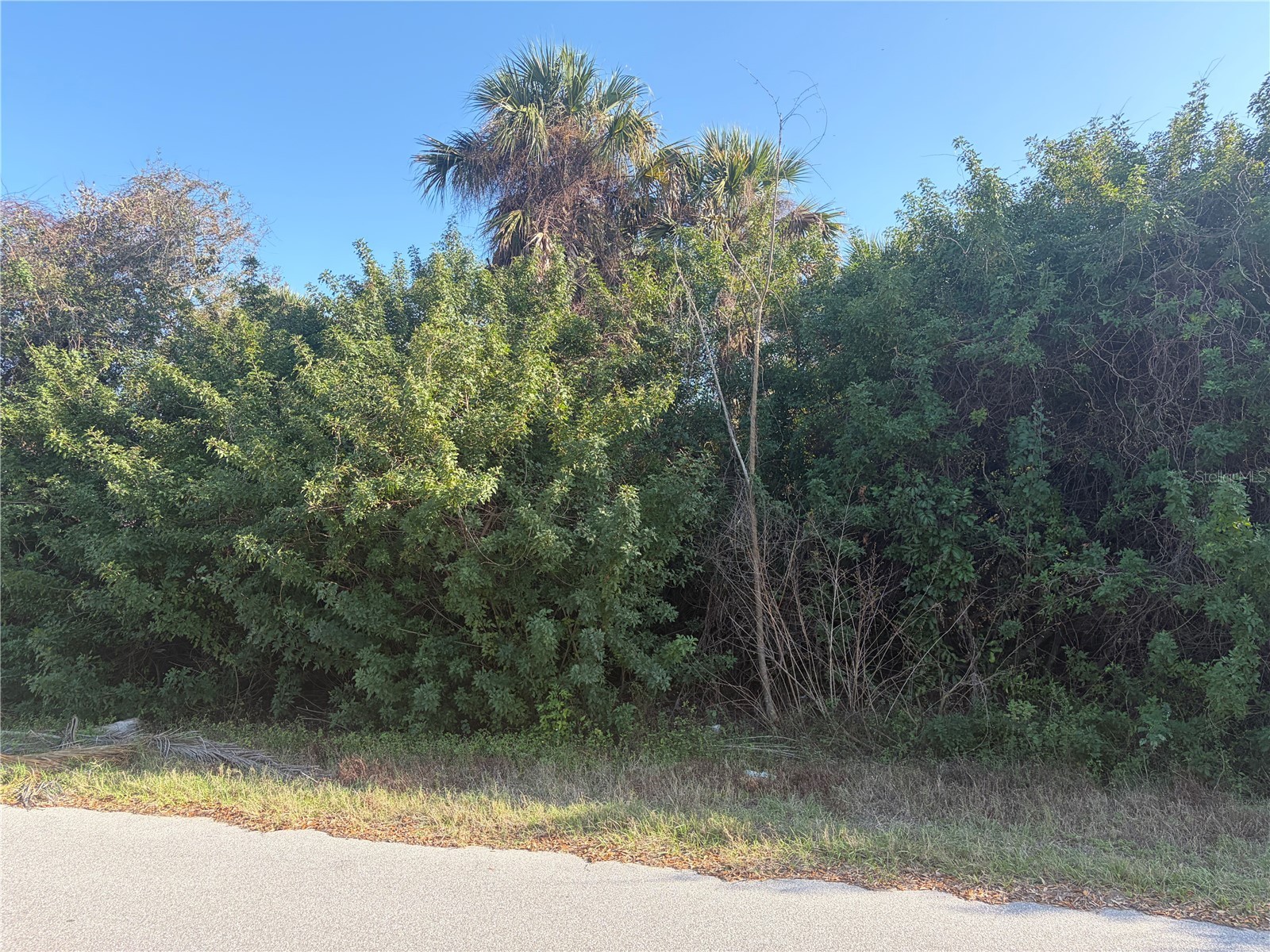 14499 Ransom Avenue Port Charlotte FL 33953 A4685526 image2