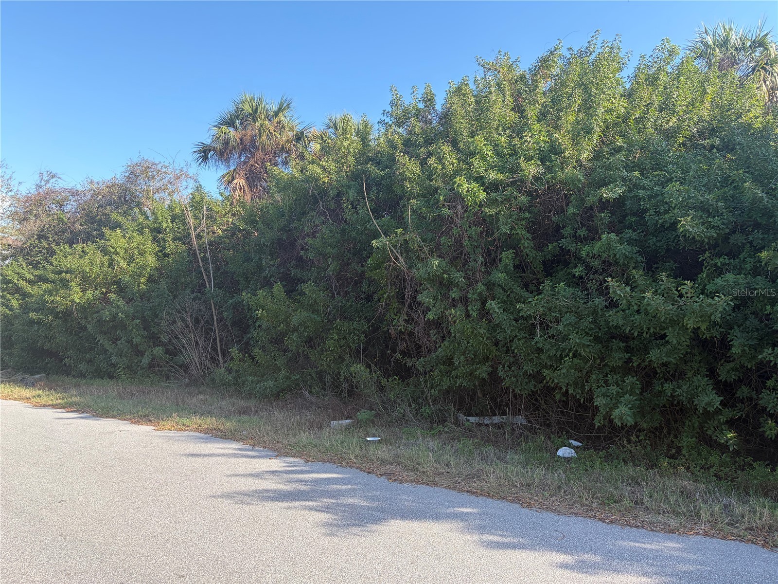 14499 Ransom Avenue Port Charlotte FL 33953 A4685526 image3