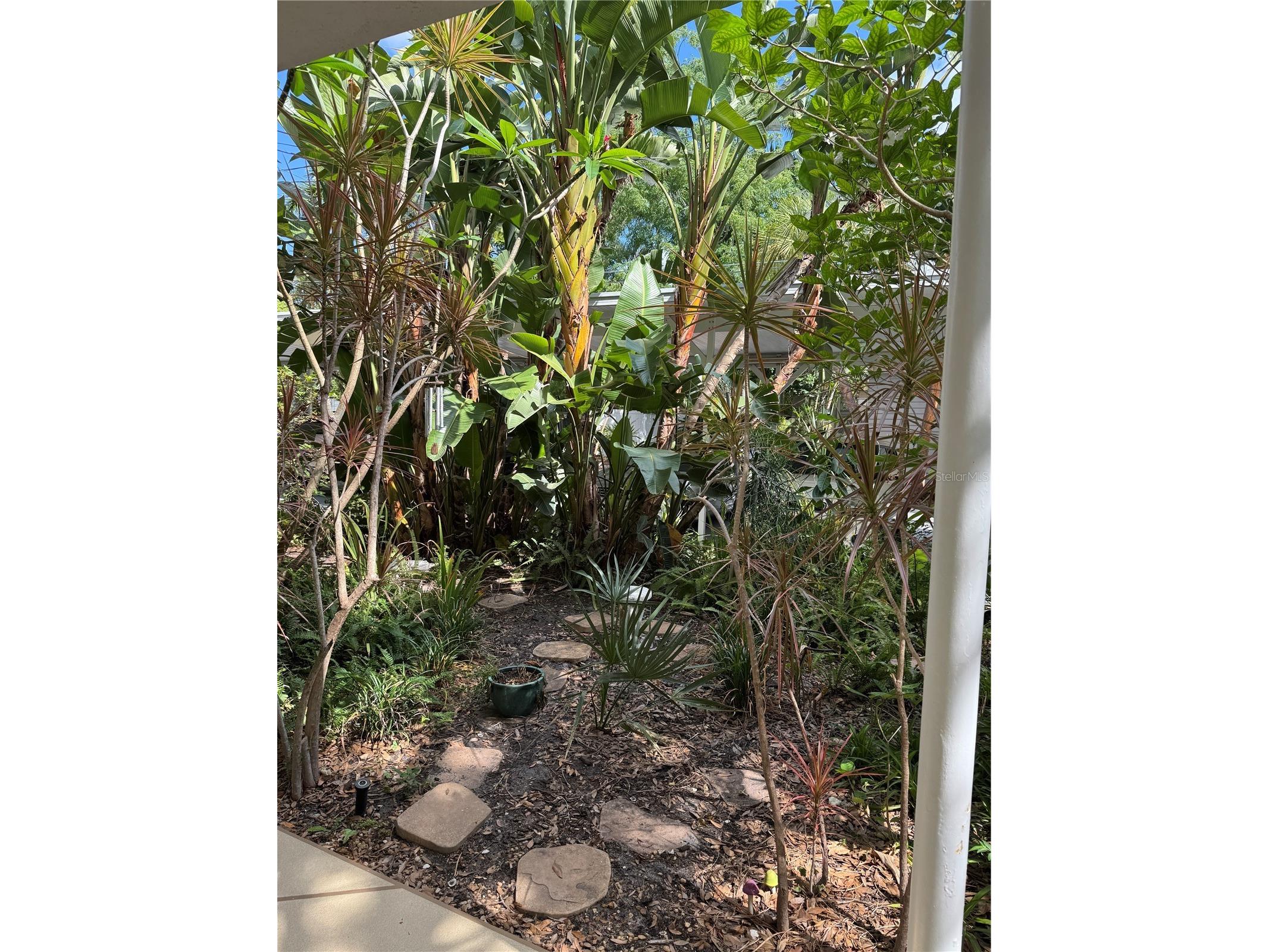 145 10th Avenue N #7 Saint Petersburg FL 33701 TB8509059 image3