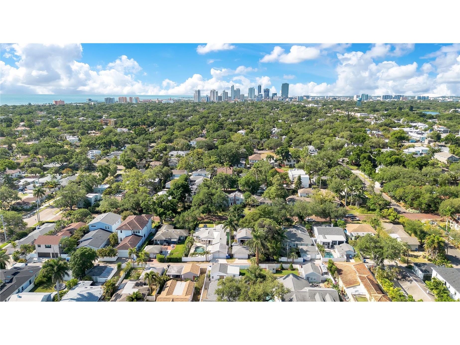 145 27th Avenue N Saint Petersburg FL 33704 TB8501516 image41