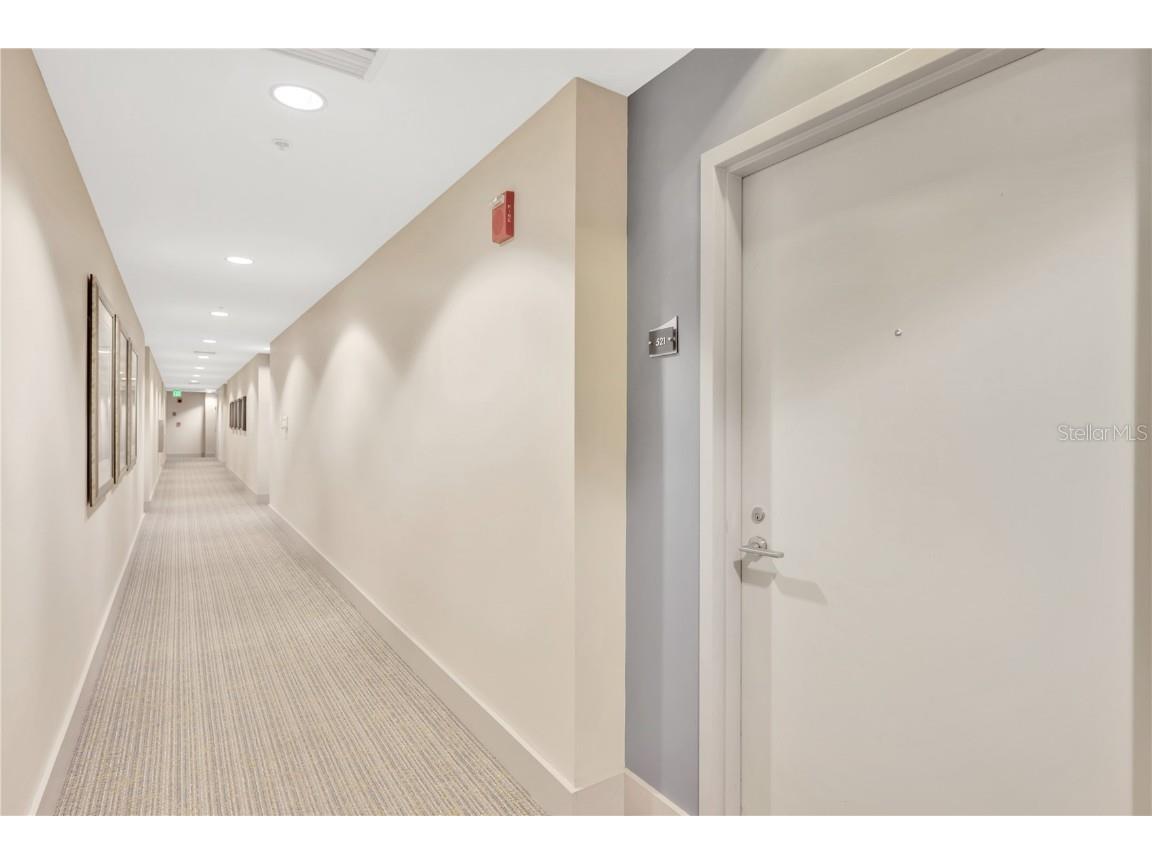 145 2nd Avenue S #521 Saint Petersburg FL 33701 TB8425466 image31