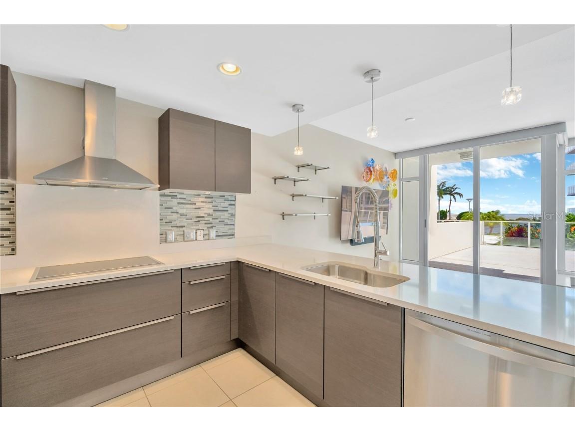 145 2nd Avenue S #521 Saint Petersburg FL 33701 TB8425466 image38