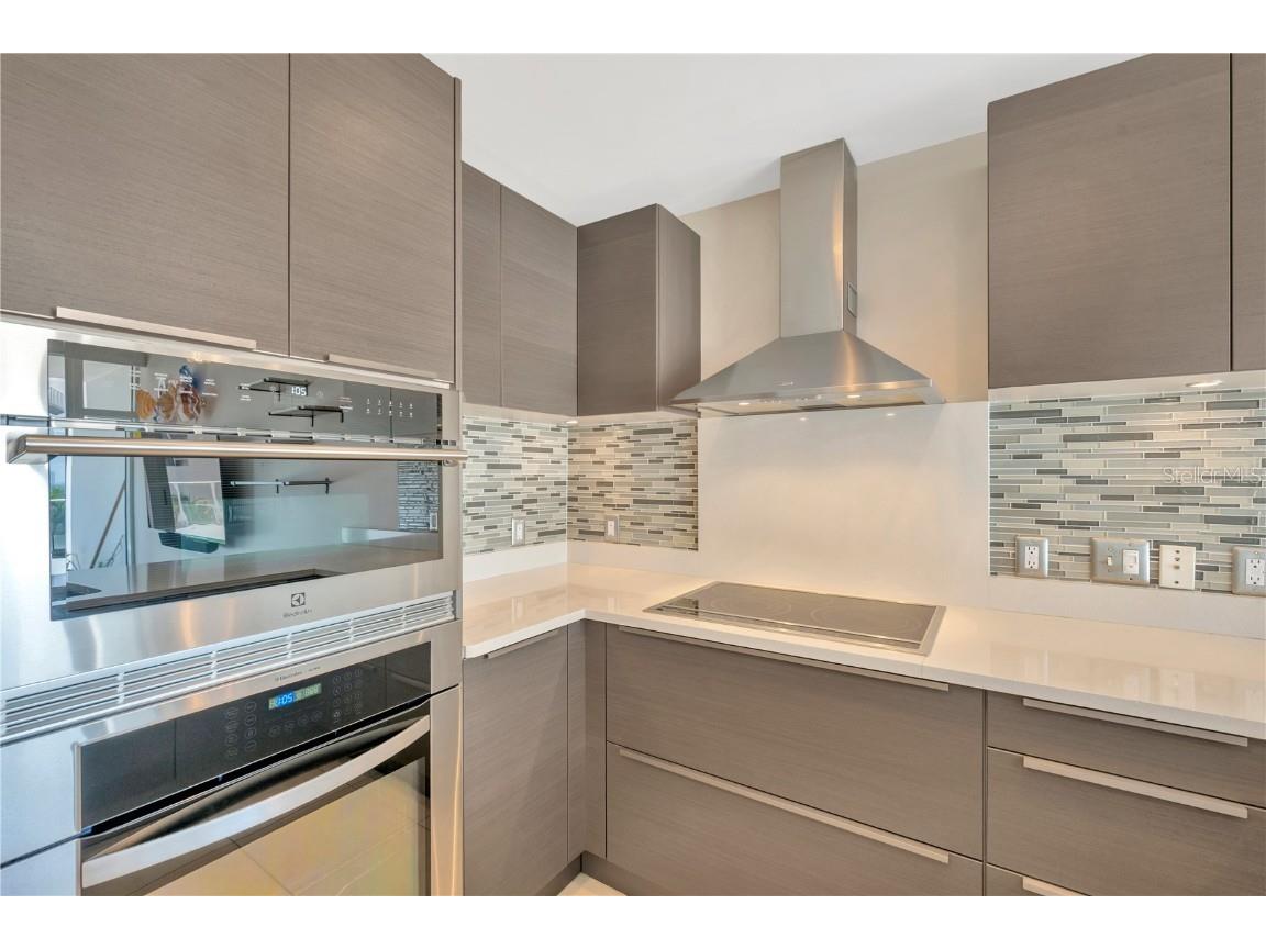 145 2nd Avenue S #521 Saint Petersburg FL 33701 TB8425466 image40