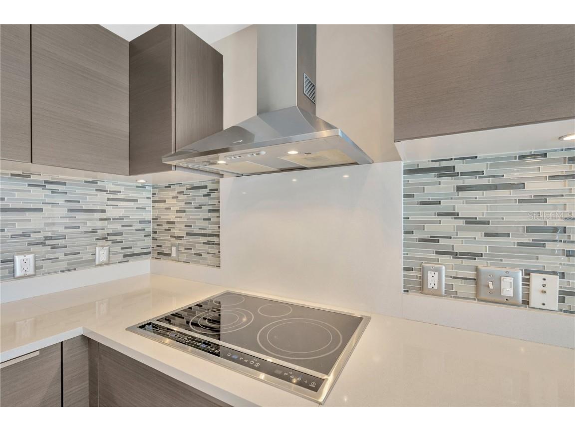 145 2nd Avenue S #521 Saint Petersburg FL 33701 TB8425466 image41