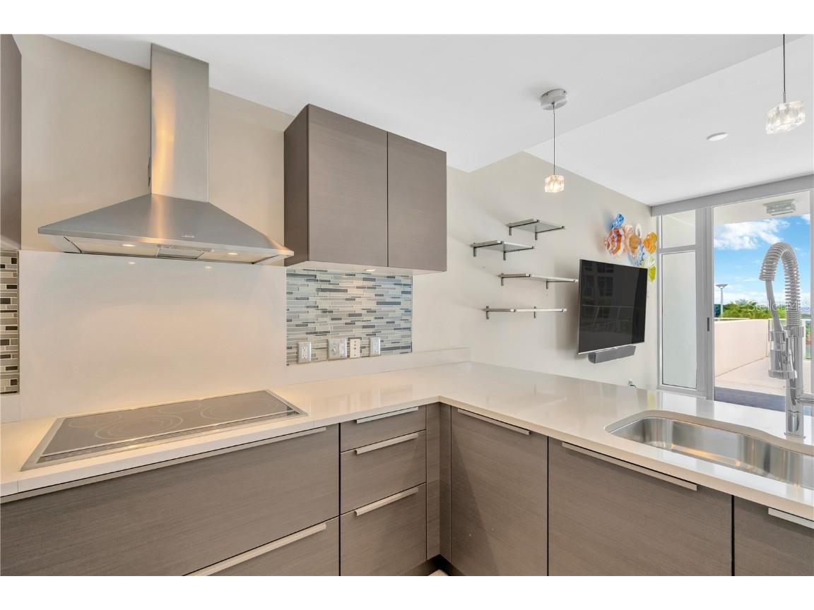 145 2nd Avenue S #521 Saint Petersburg FL 33701 TB8425466 image42