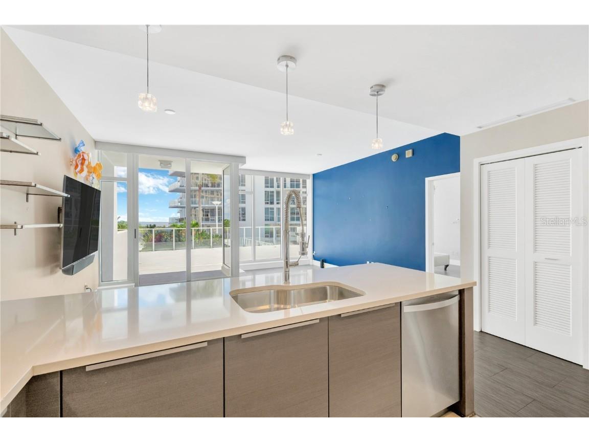 145 2nd Avenue S #521 Saint Petersburg FL 33701 TB8425466 image43