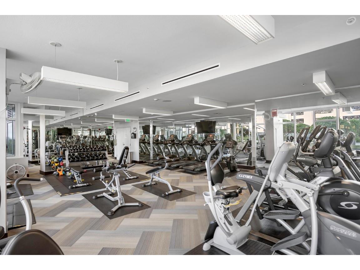 145 2nd Avenue S #614 Saint Petersburg FL 33701 TB8452644 image20