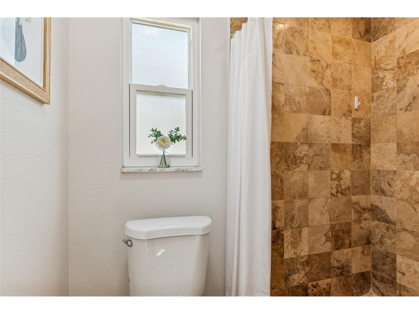 145 Avon Drive Safety Harbor FL 34695 TB8466873 image26