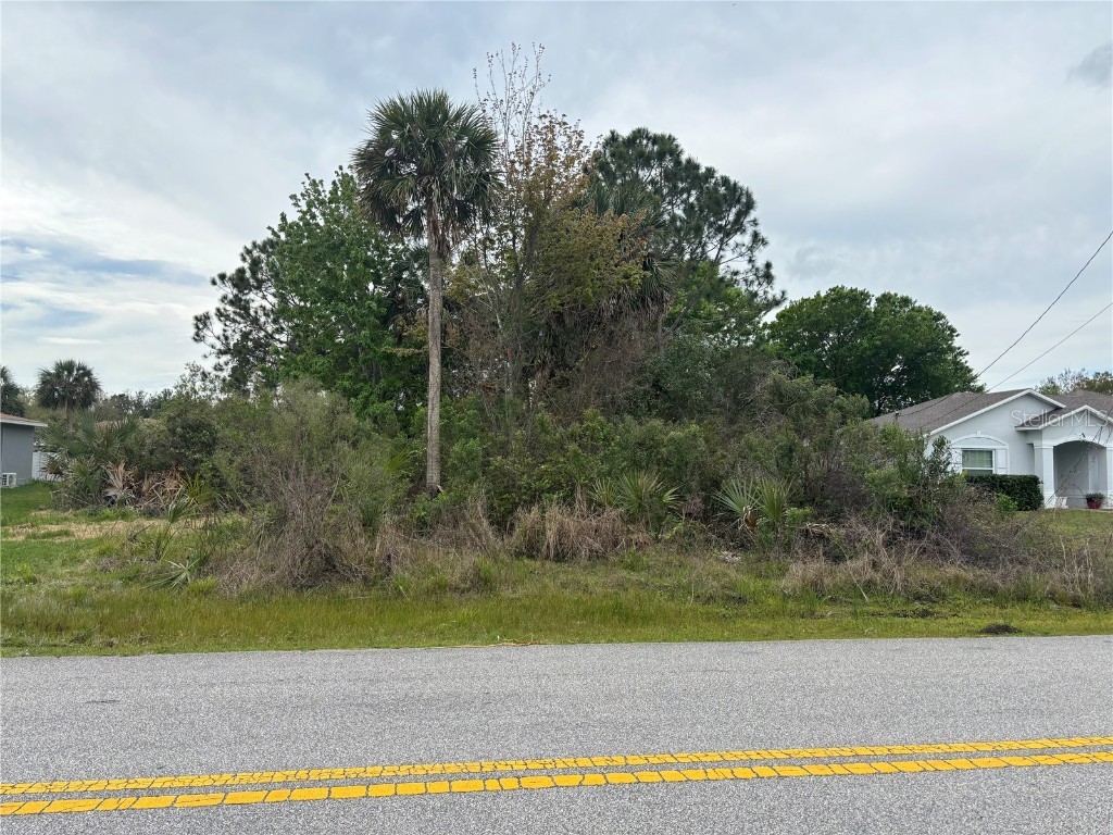 145 Bird Of Paradise Drive Palm Coast FL 32137 V4935099 image1