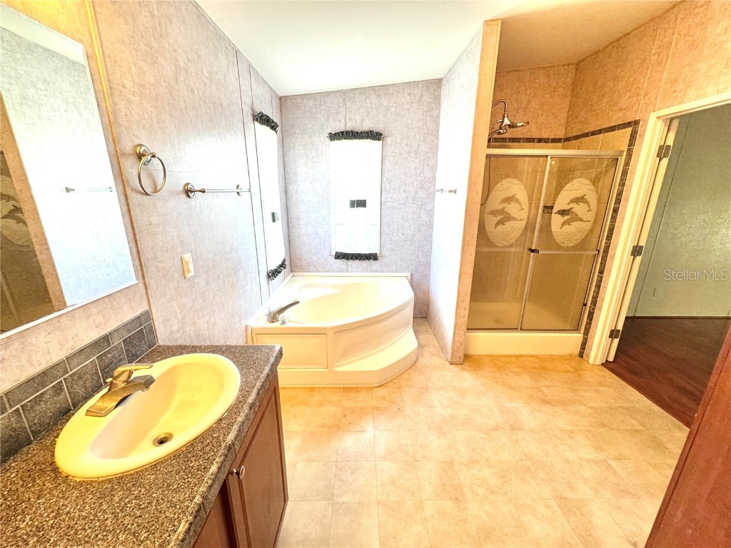 145 Blue Marlin Drive Oldsmar FL 34677 TB8345454 image23