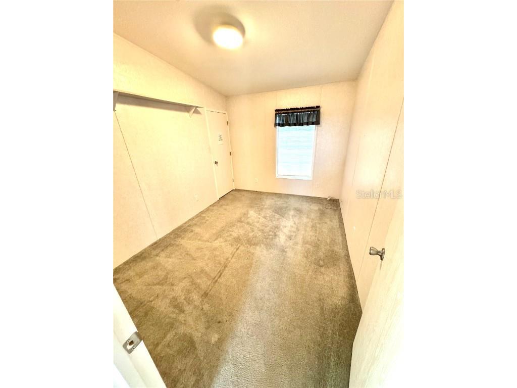 145 Blue Marlin Drive Oldsmar FL 34677 TB8345454 image25