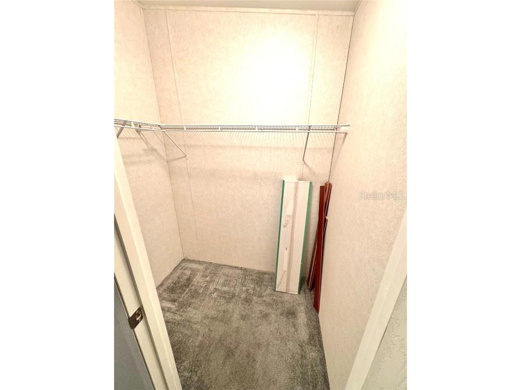 145 Blue Marlin Drive Oldsmar FL 34677 TB8345454 image26