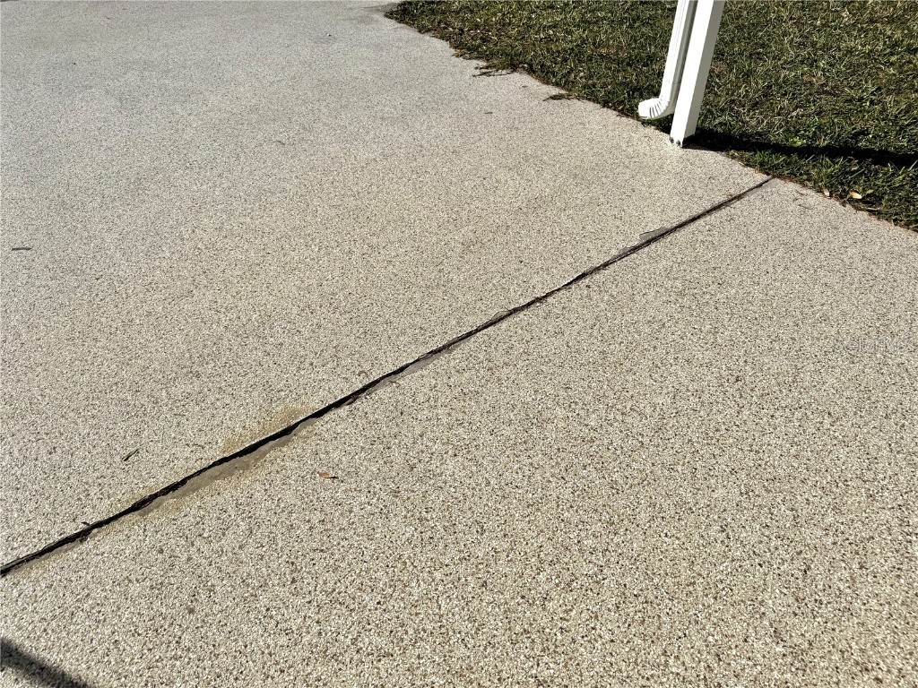 145 Blue Marlin Drive Oldsmar FL 34677 TB8345454 image28