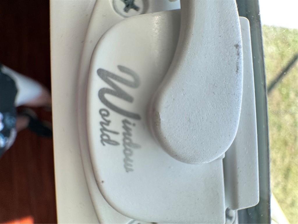 145 Blue Marlin Drive Oldsmar FL 34677 TB8345454 image33