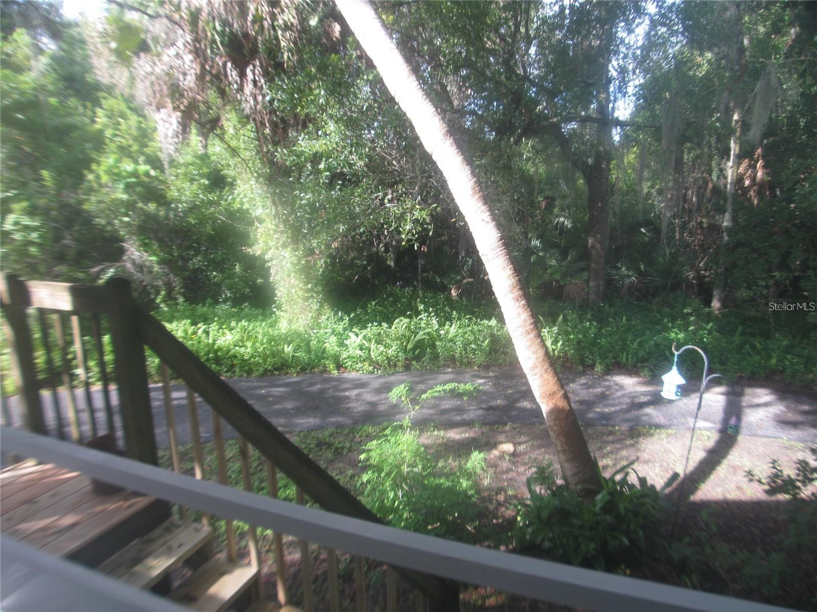 145 Crooked Pine Road Port Orange FL 32128 O6422274 image15