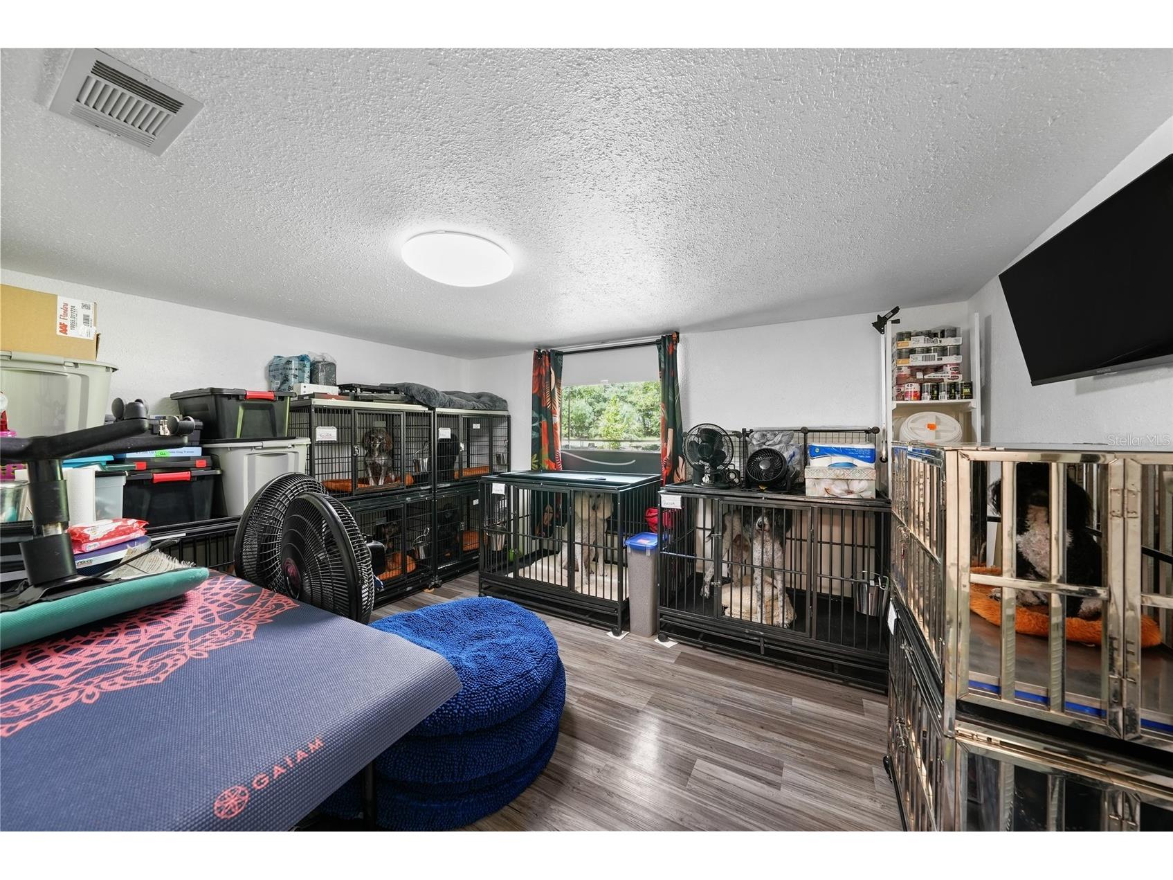 145 Crystal Lake Drive Melrose FL 32666 TB8525712 image19