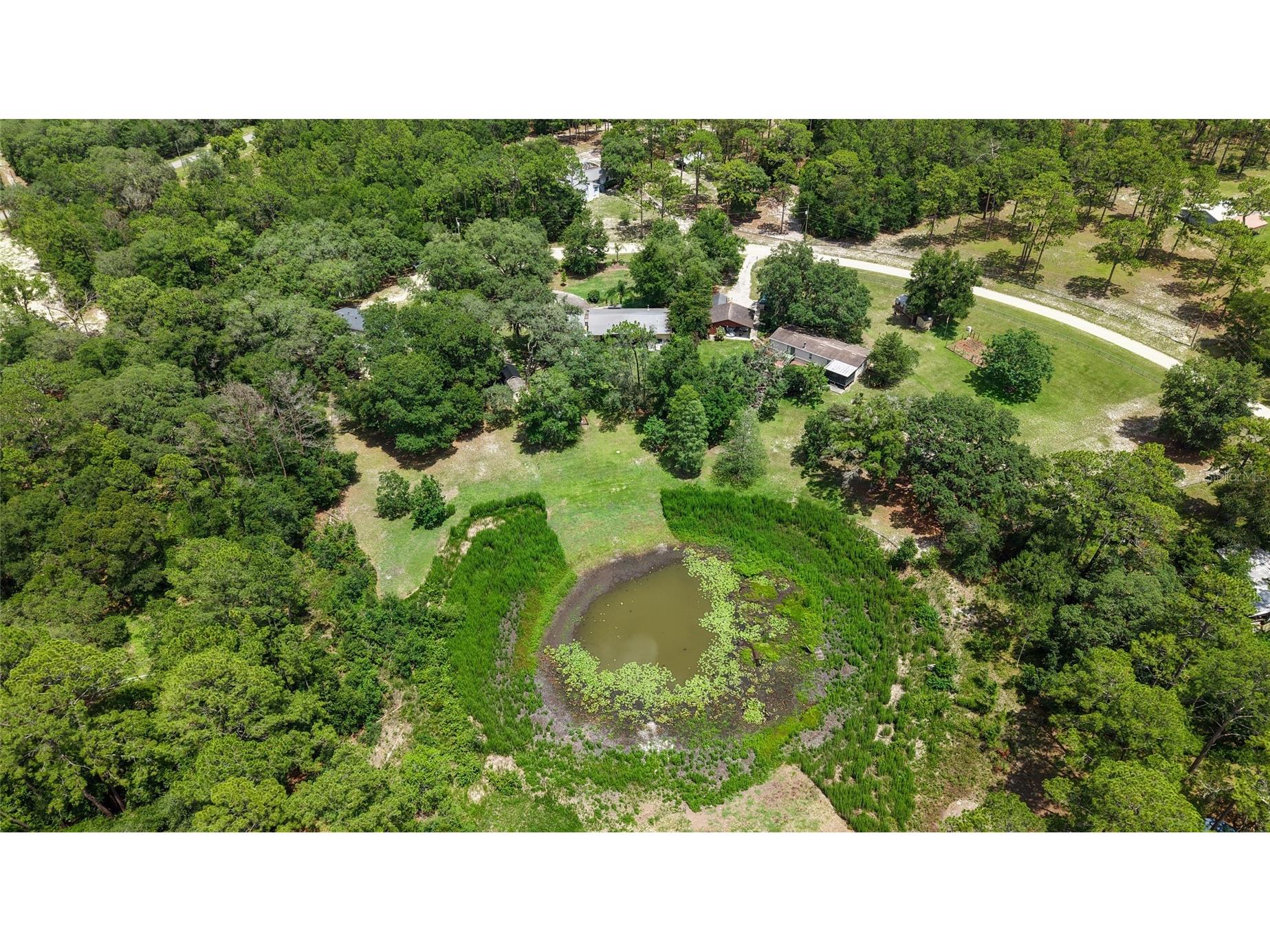 145 Crystal Lake Drive Melrose FL 32666 TB8525712 image28