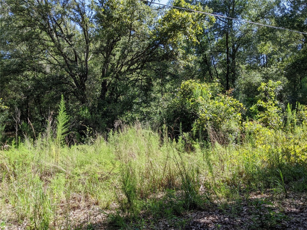 145 E Katie Street Hernando FL 34442 G5058752 image1