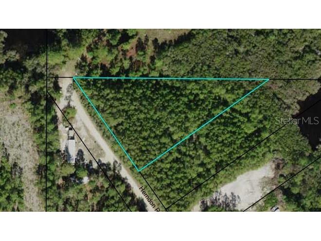 145 Herndon Rd Carrabelle FL 32322 T3466859 image1