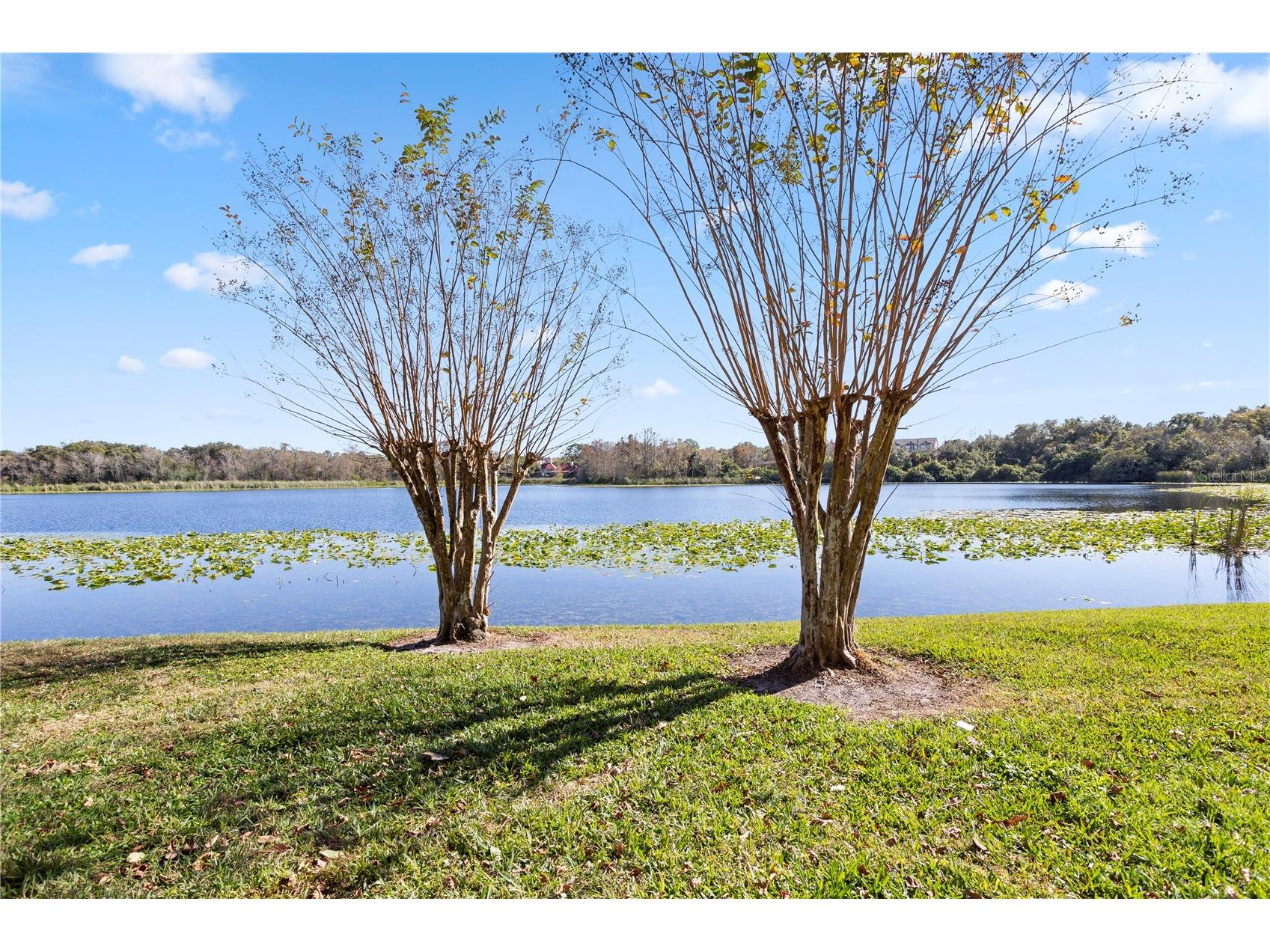 145 N Pearl Lake Causeway #106 Altamonte Springs FL 32714 - Pearl Lake O6376163 image31