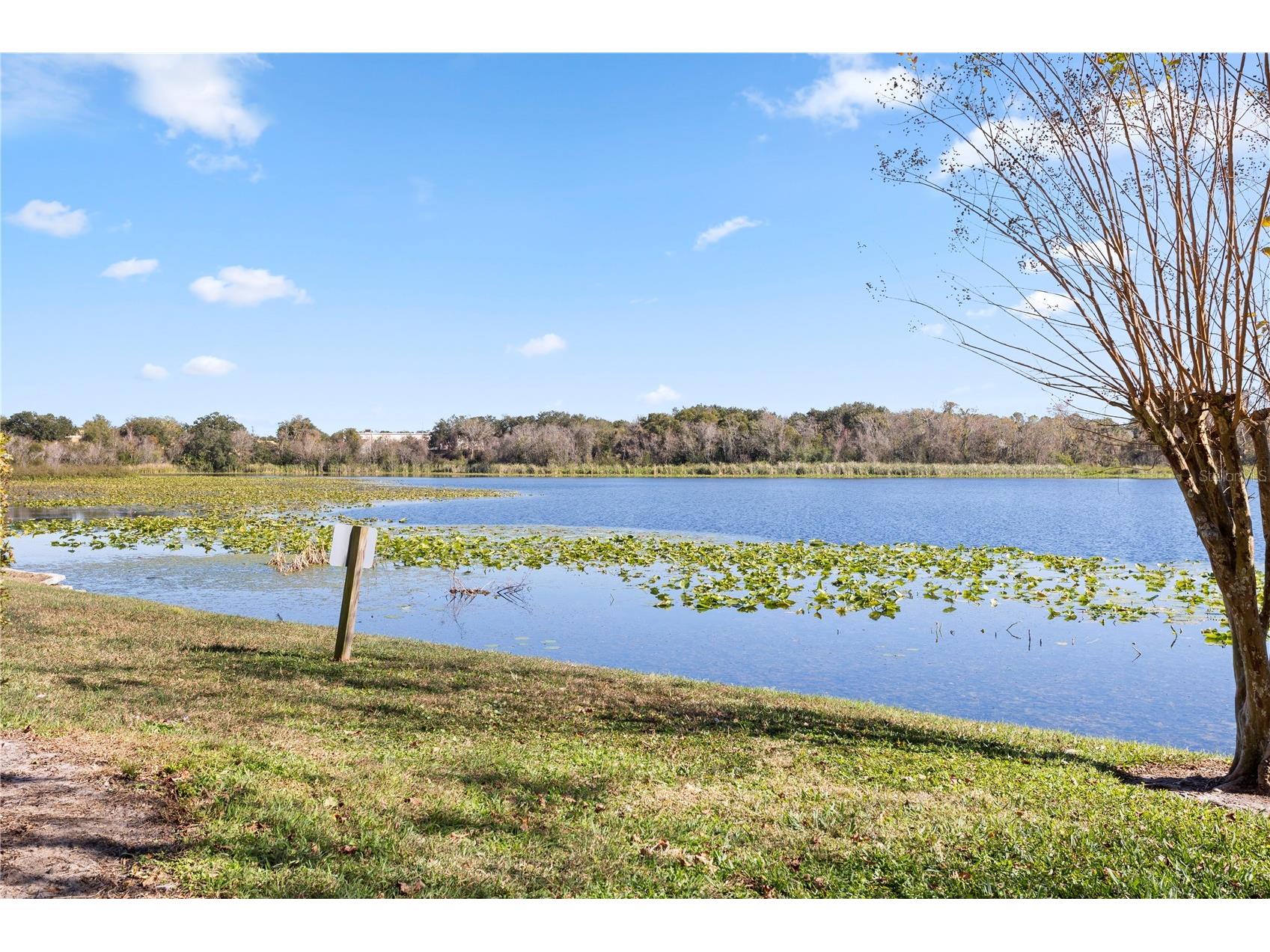 145 N Pearl Lake Causeway #106 Altamonte Springs FL 32714 - Pearl Lake O6376163 image32