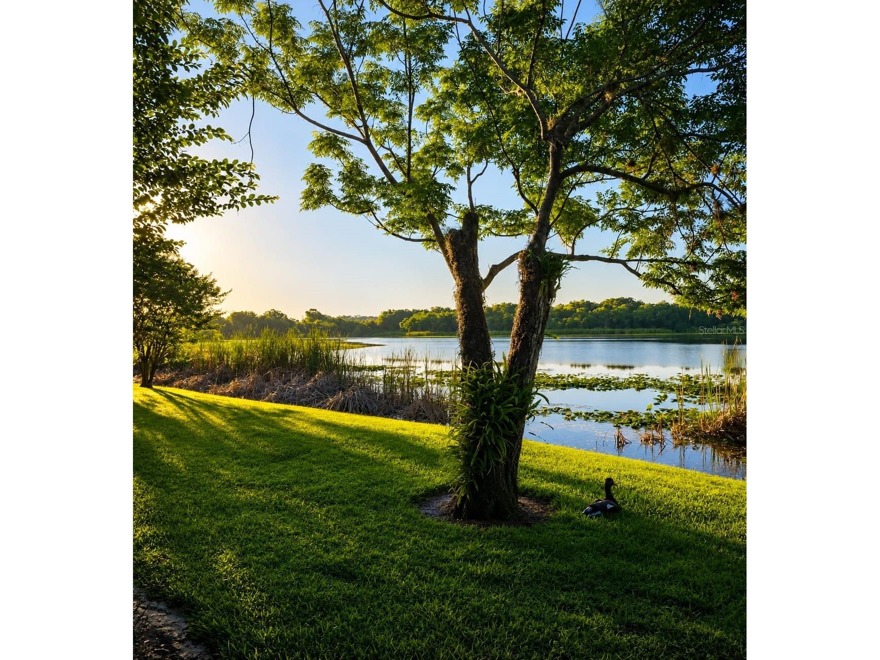 145 N Pearl Lake Causeway #210 Altamonte Springs FL 32714 - Pearl Lake O6411055 image44