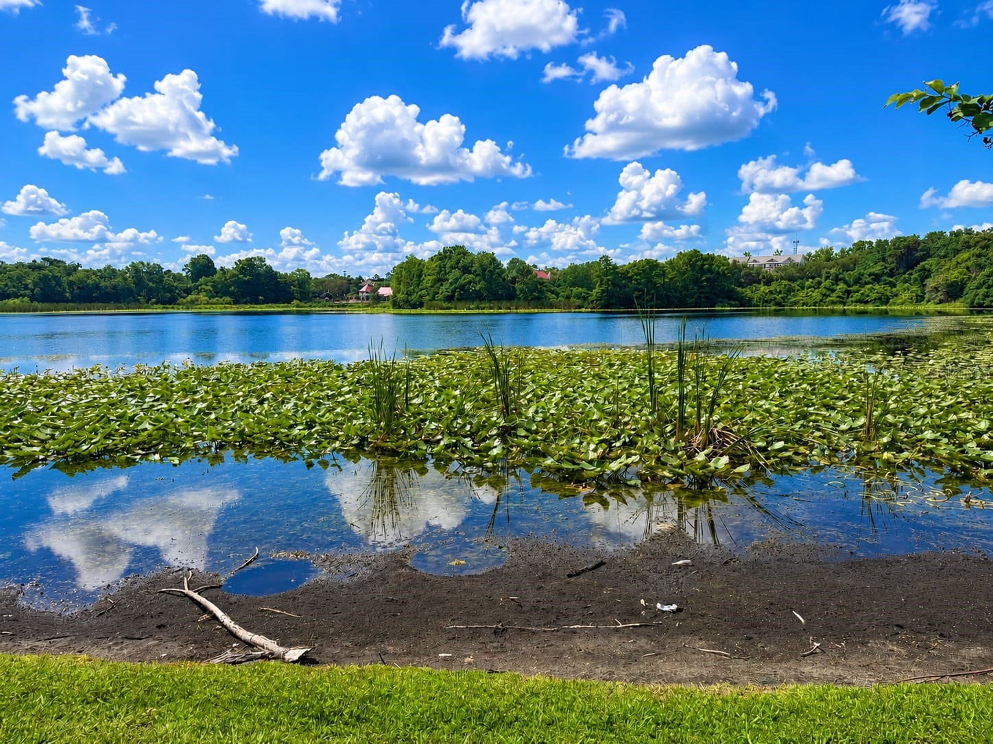 145 N Pearl Lake Causeway #210 Altamonte Springs FL 32714 - Pearl Lake O6411055 image46
