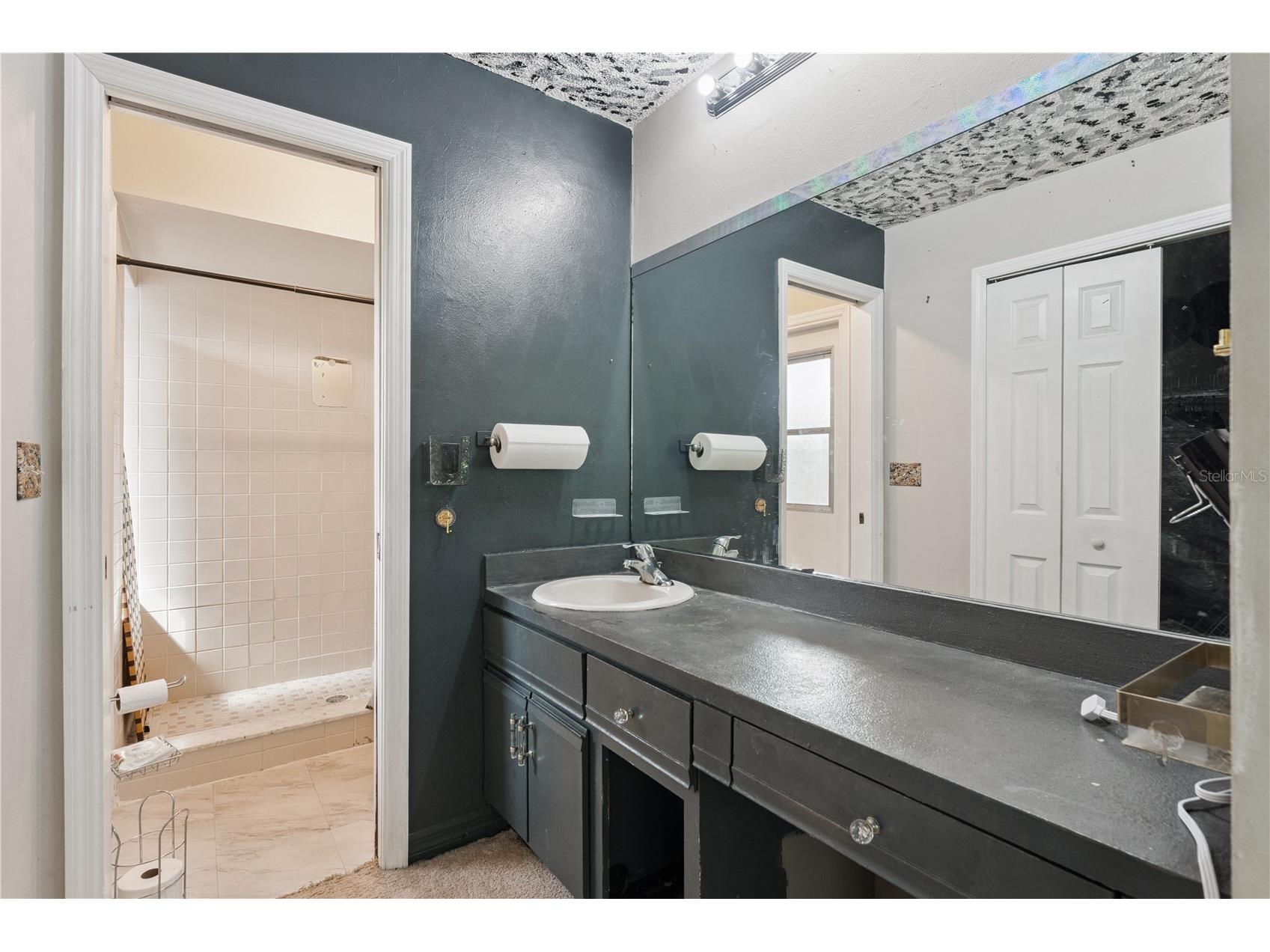 145 Olive Tree Circle #145 Altamonte Springs FL 32714 O6421418 image14