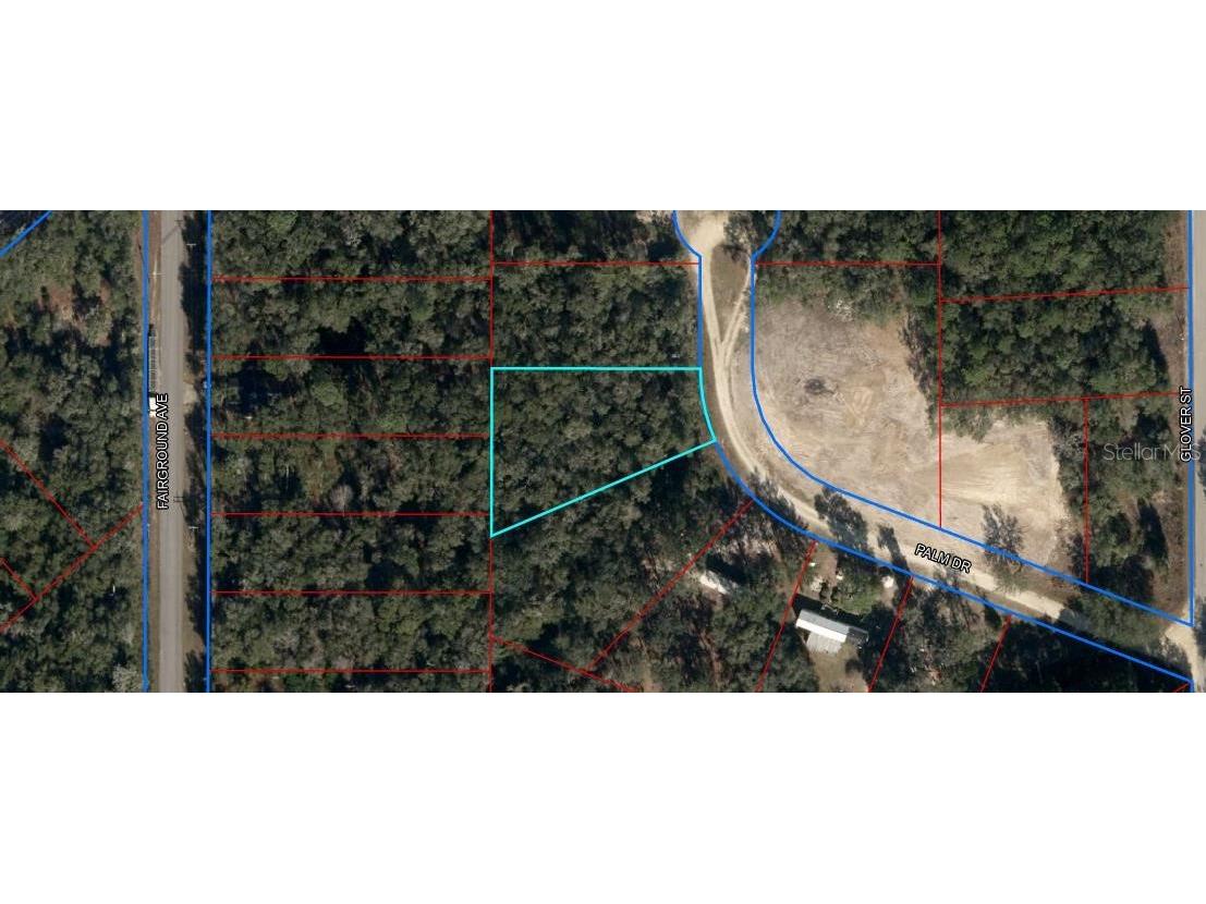 145 Palm Drive Bronson FL 32621 OM678400 image1