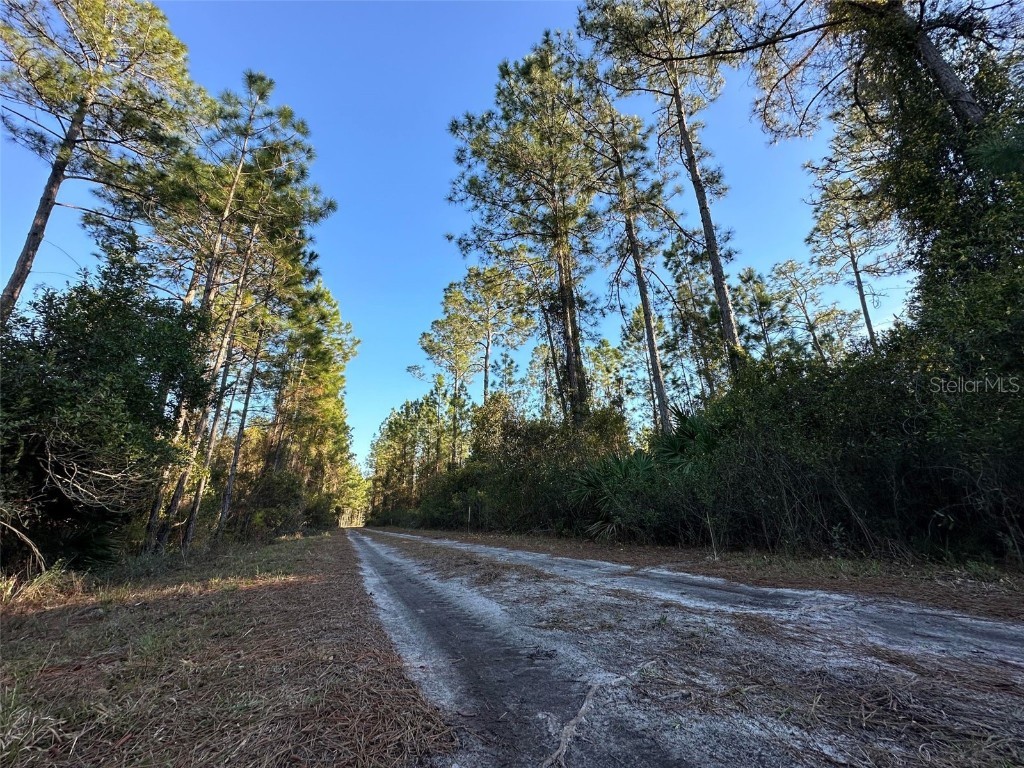 145 Roebuck Street Georgetown FL 32139 FC298350 image1