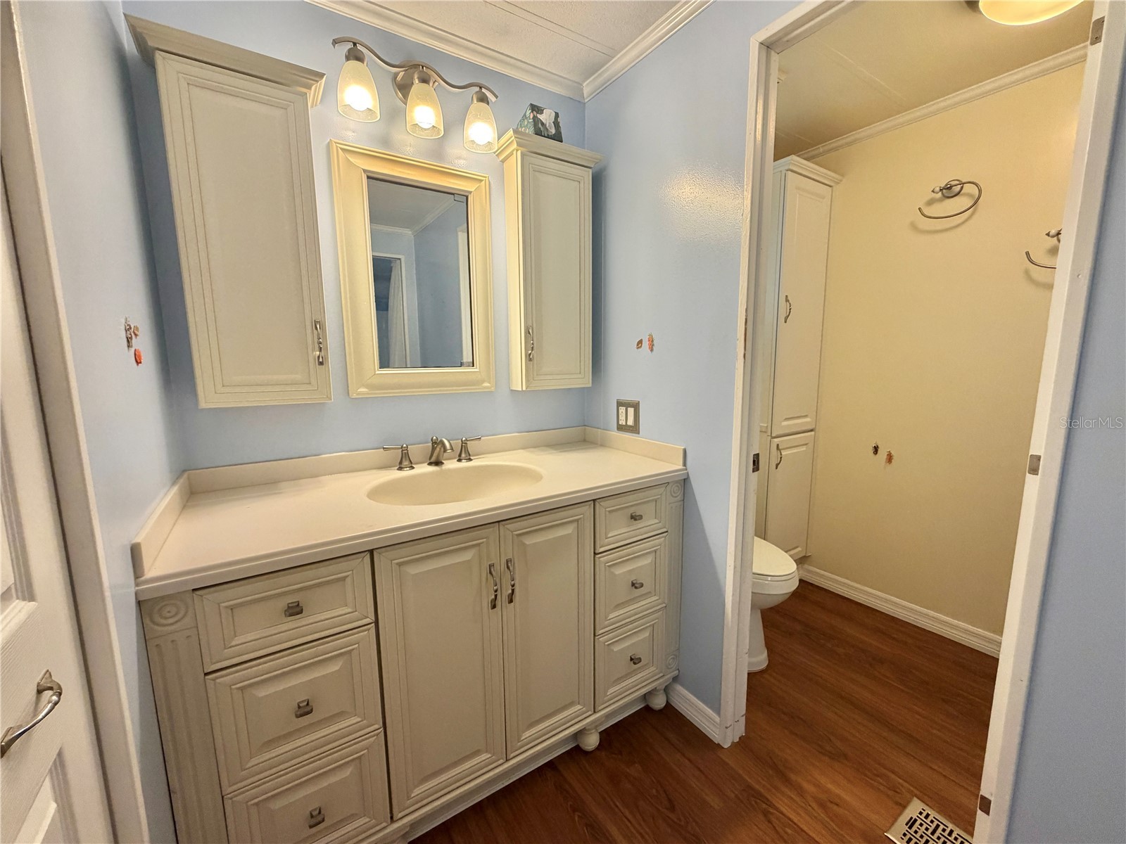 145 Royal Palm Drive Leesburg FL 34748 G5111034 image35