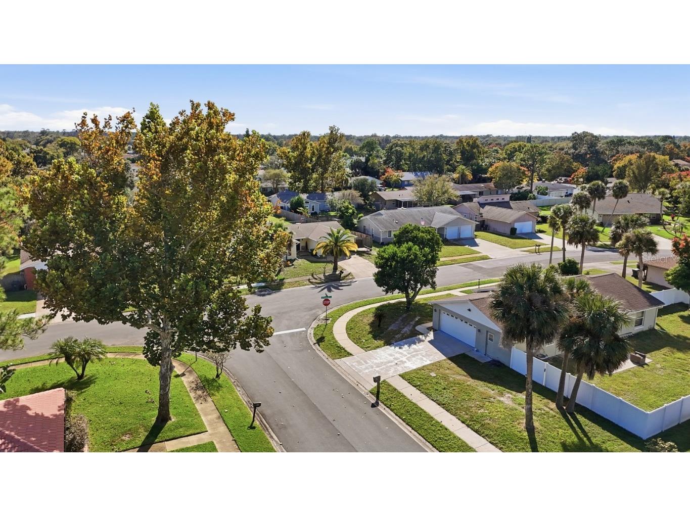 145 Springwood Drive Daytona Beach FL 32119 FC313852 image29