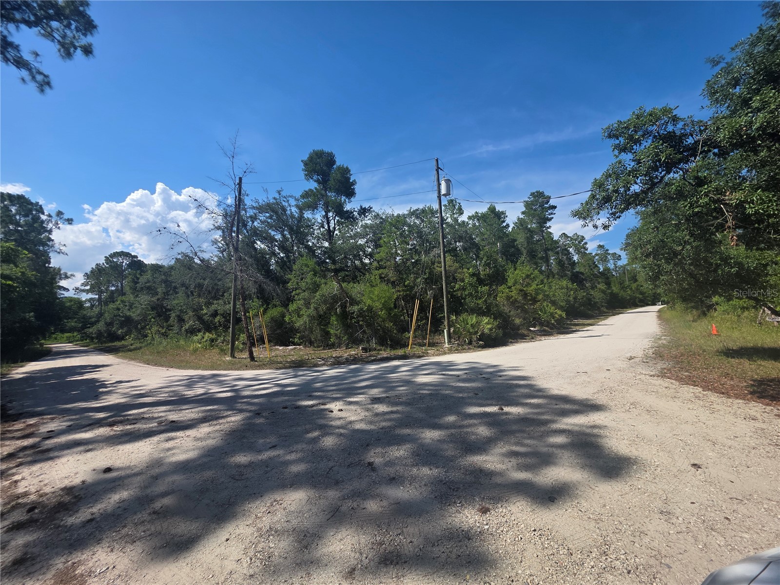 145 Sweetwater Trail Kissimmee FL 34747 O6411907 image2