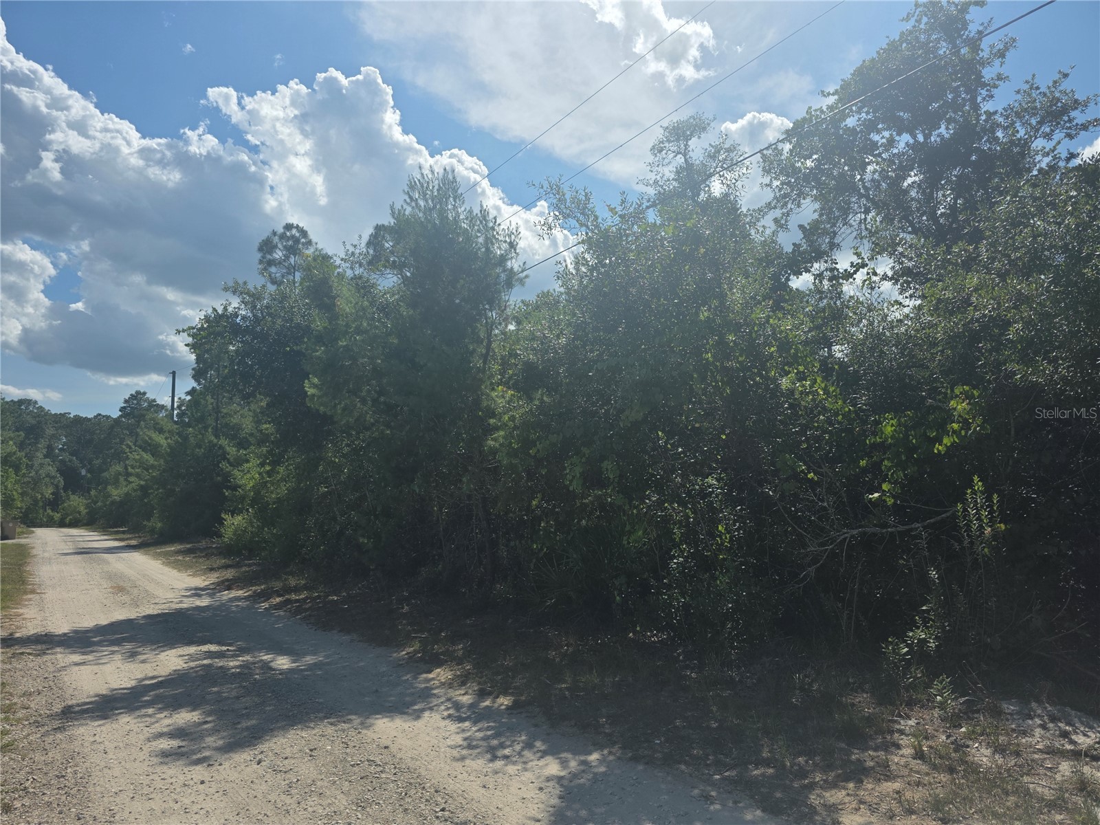 145 Sweetwater Trail Kissimmee FL 34747 O6411907 image5
