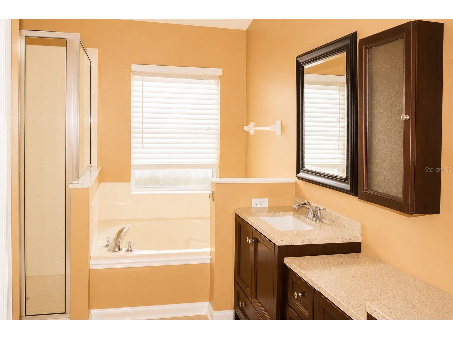 145 Thornbury Drive Kissimmee FL 34744 S5152081 image25