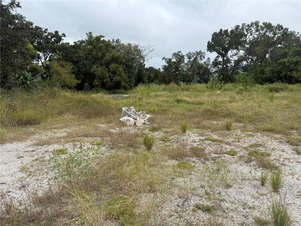 145 W Country Club Drive Tampa FL 33612 TB8436773 image1