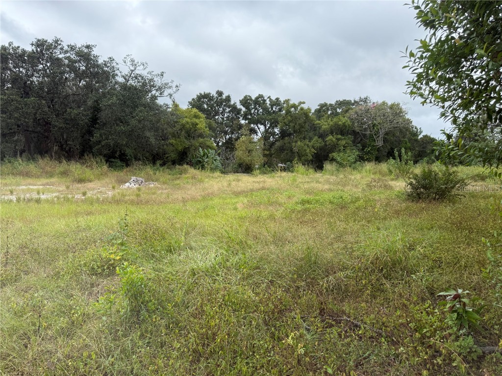 145 W Country Club Drive Tampa FL 33612 TB8436773 image2