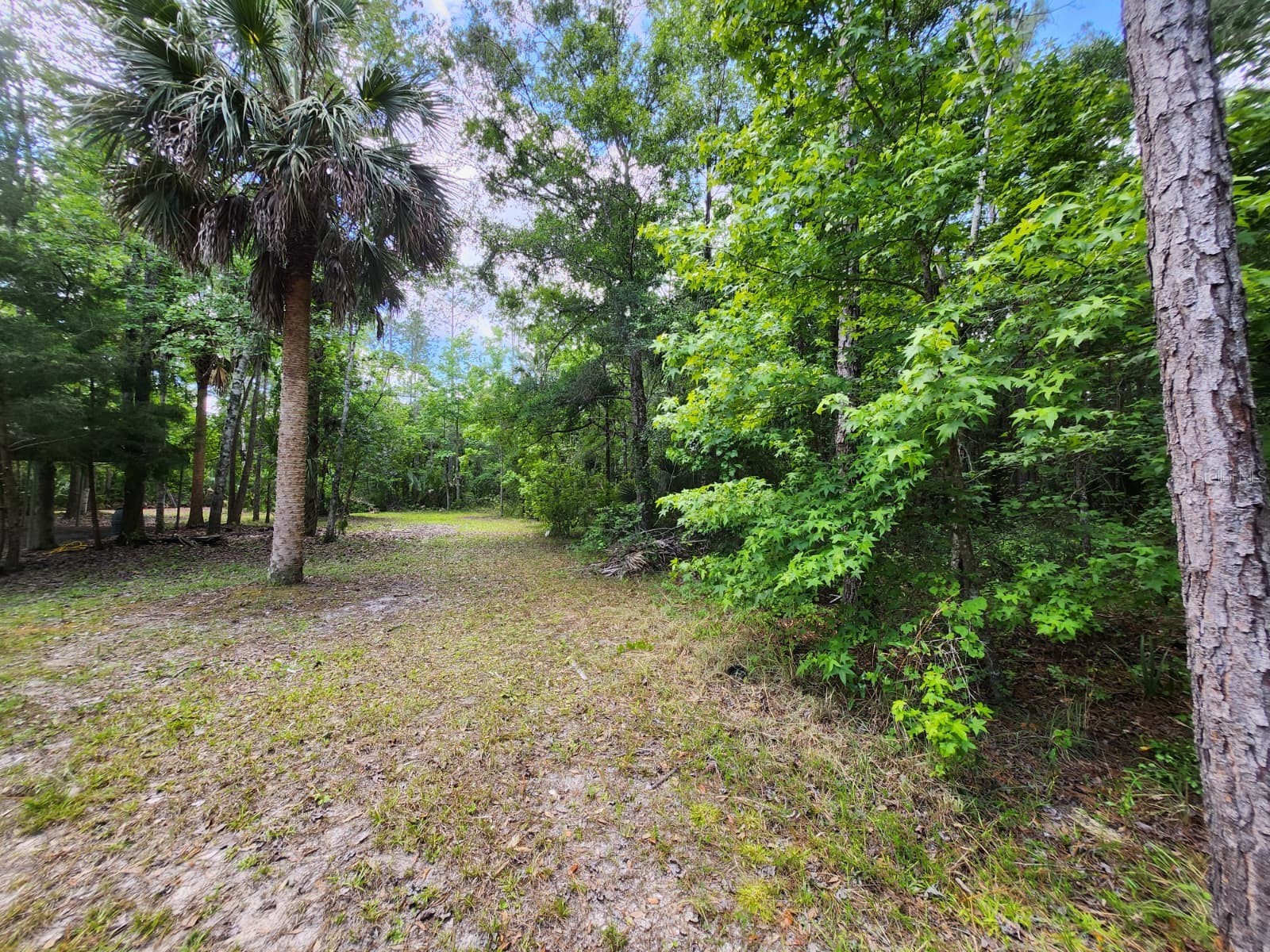 1450 Almond Street Bunnell FL 32110 O6404657 image52