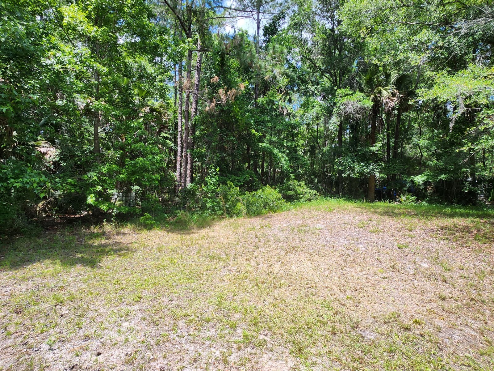 1450 Almond Street Bunnell FL 32110 O6404657 image55