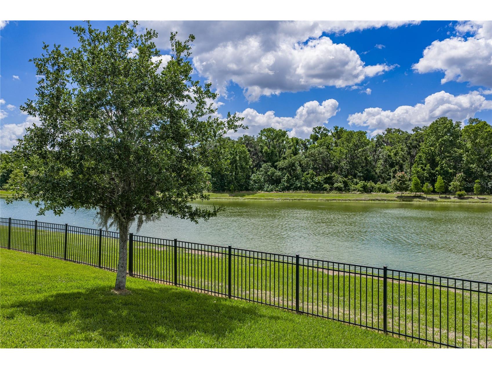 1450 Cypress View Lane Lakeland FL 33811 L4961465 image30