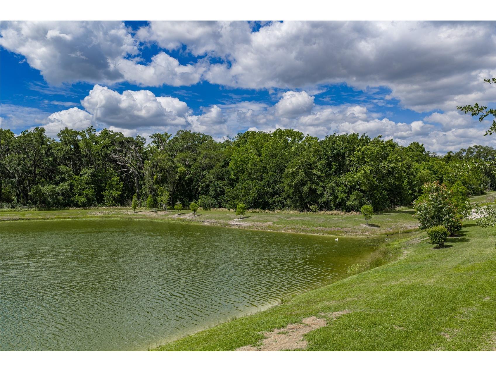 1450 Cypress View Lane Lakeland FL 33811 L4961465 image31