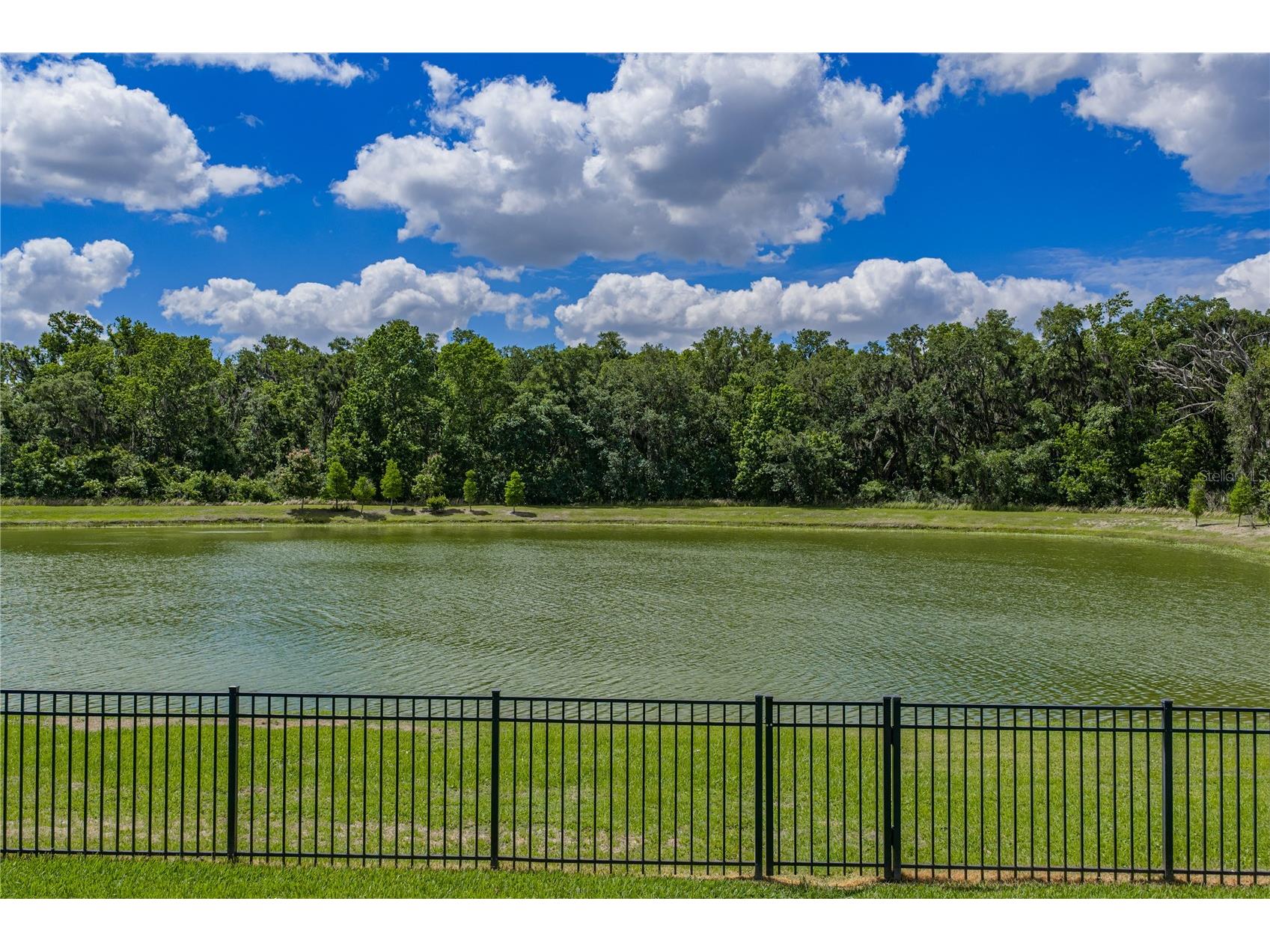 1450 Cypress View Lane Lakeland FL 33811 L4961465 image32