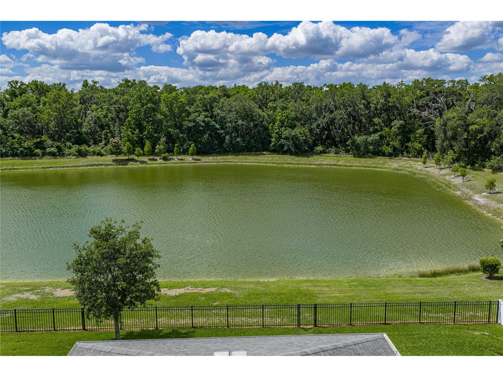 1450 Cypress View Lane Lakeland FL 33811 L4961465 image33