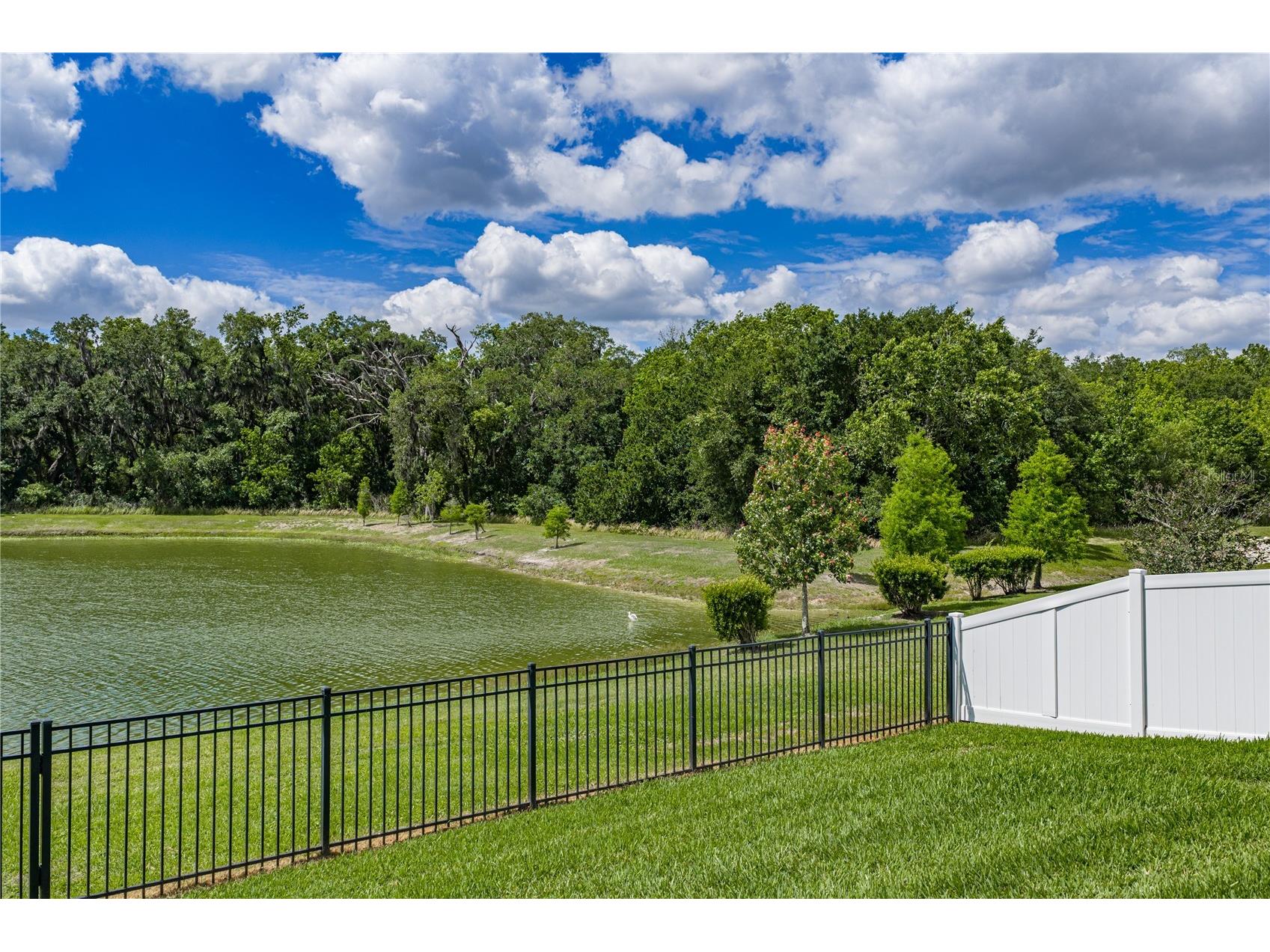 1450 Cypress View Lane Lakeland FL 33811 L4961465 image34
