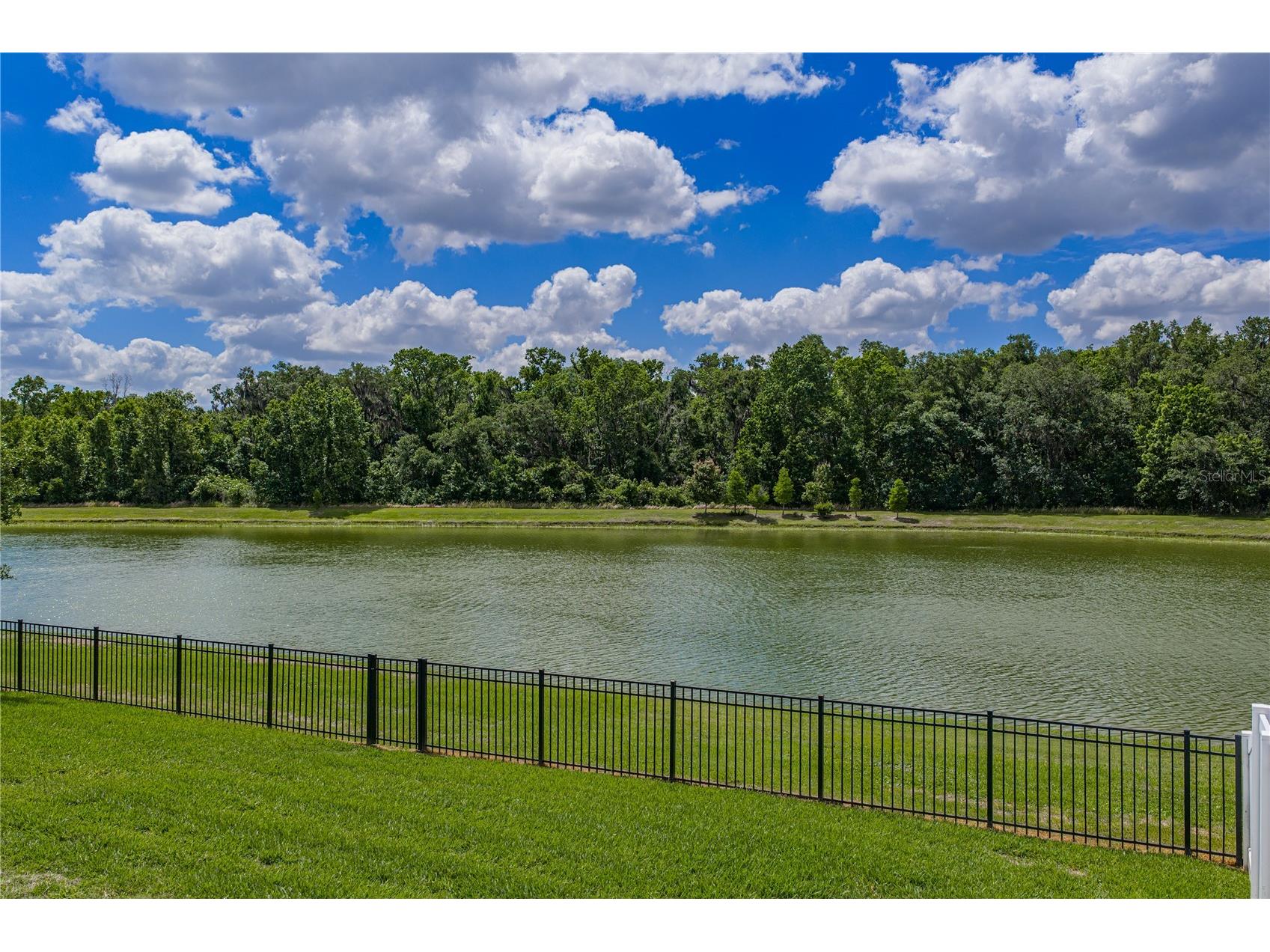 1450 Cypress View Lane Lakeland FL 33811 L4961465 image64