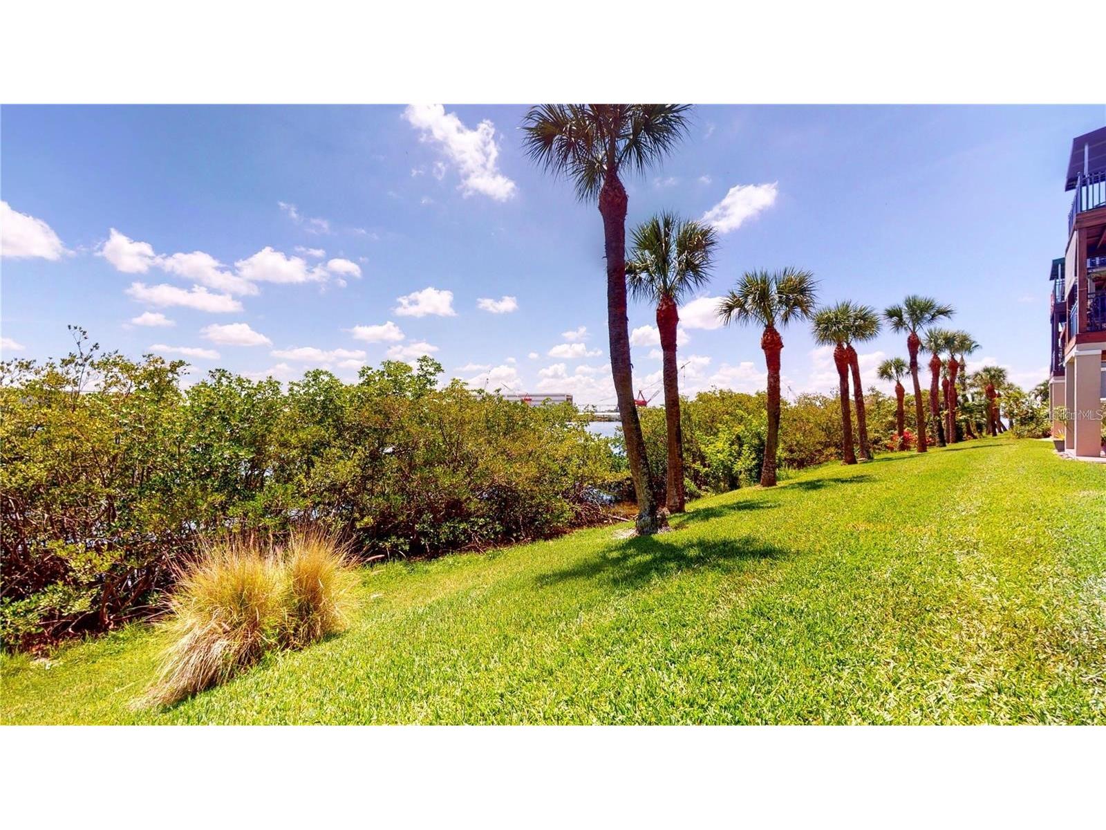1450 Harbour Walk Road Tampa FL 33602 TB8511172 image20