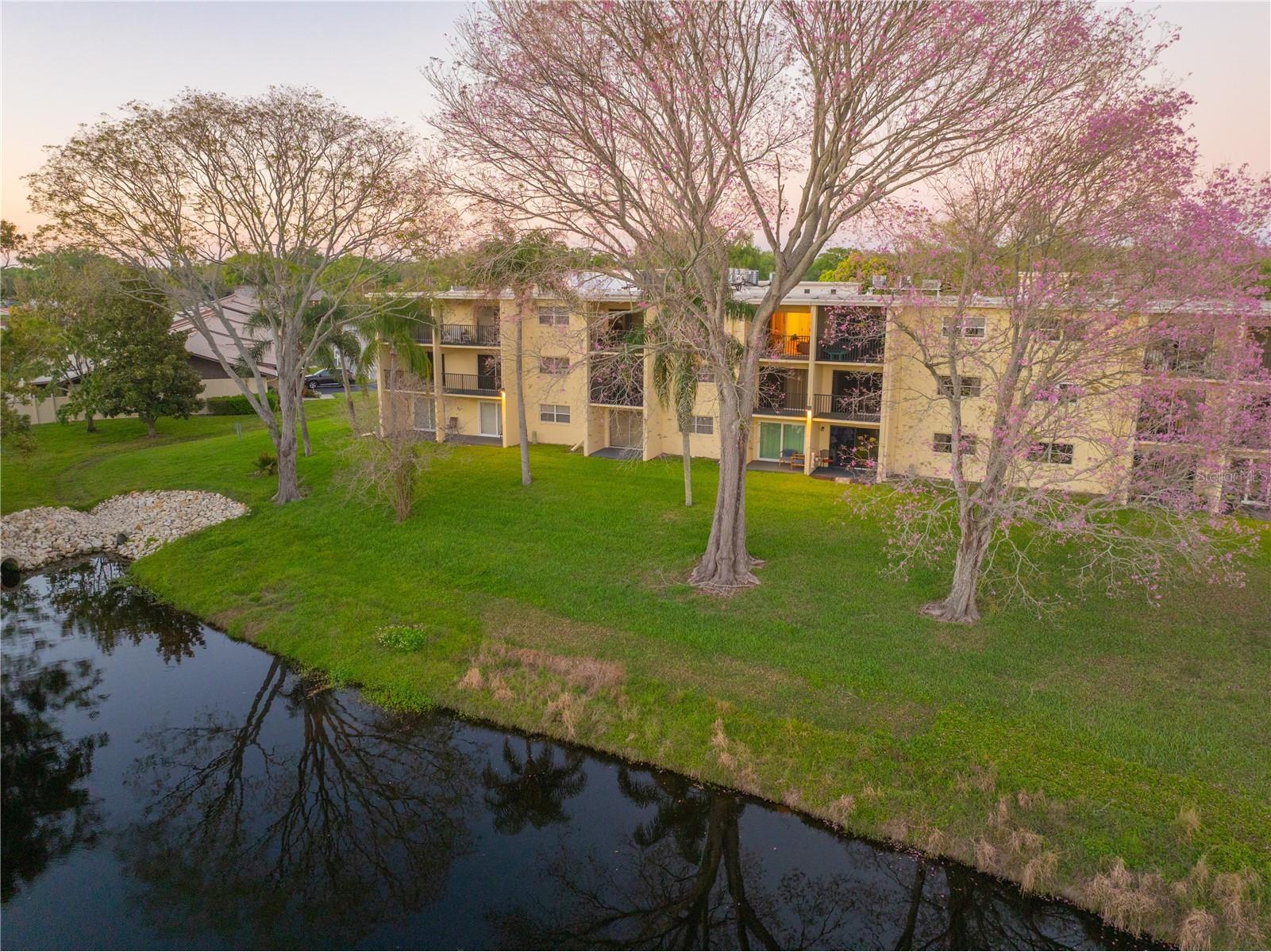 1450 Heather Ridge Boulevard #307 Dunedin FL 34698 TB8491283 image15